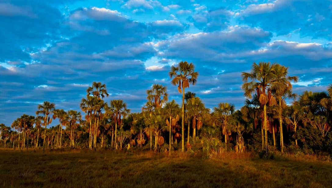Módulo para o Programa de Regularização Ambiental na plataforma Siriema