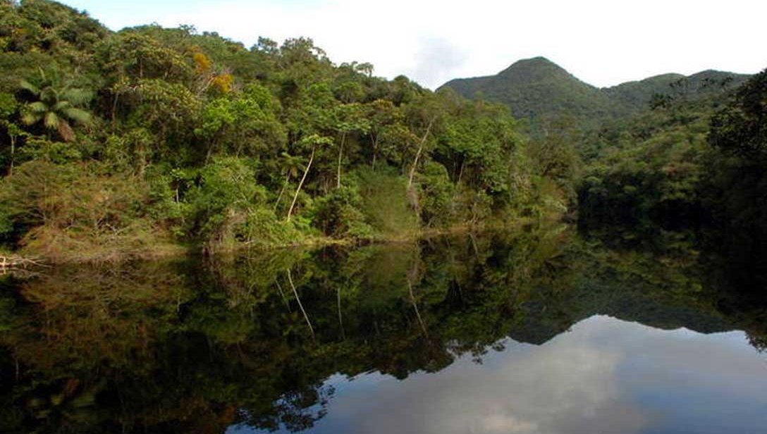 Programa Matas Legais
